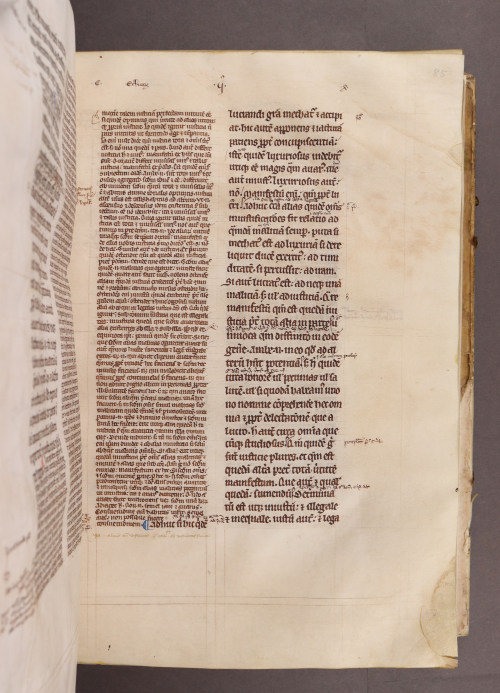 Folio 85 recto